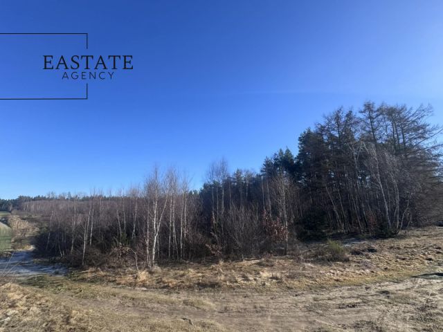 Działka inwestycyjna Pierwoszyno, ul. Jabłoniowa. Zdjęcie 3