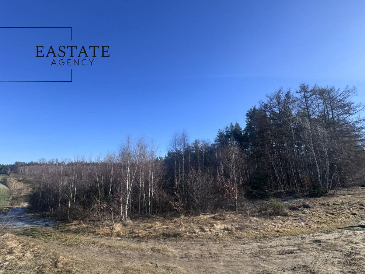 Działka inwestycyjna Pierwoszyno, ul. Jabłoniowa. Zdjęcie 3