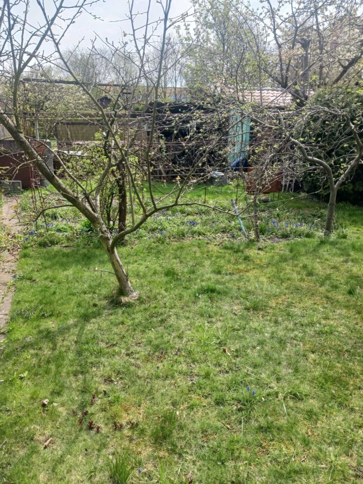 Działka rod Gliwice Szobiszowice. Zdjęcie 2