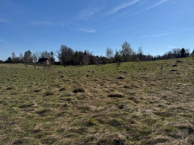 Działka rekreacyjna Stary Gieląd. Zdjęcie 13