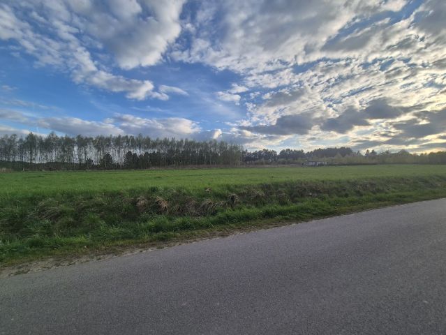 Działka budowlana Jaskrów, ul. Jurajska. Zdjęcie 1