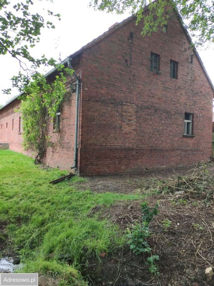 Działka rolna Osiecko. Zdjęcie 3
