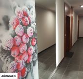 Mieszkanie 2-pokojowe Bydgoszcz Bartodzieje Wielkie, ul. Gajowa. Zdjęcie 2
