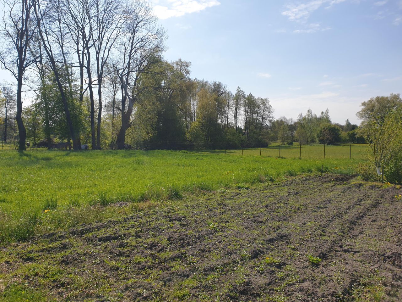 Działka budowlana Bezwola Rokosz, ul. Bezwola Stara Wieś. Zdjęcie 3