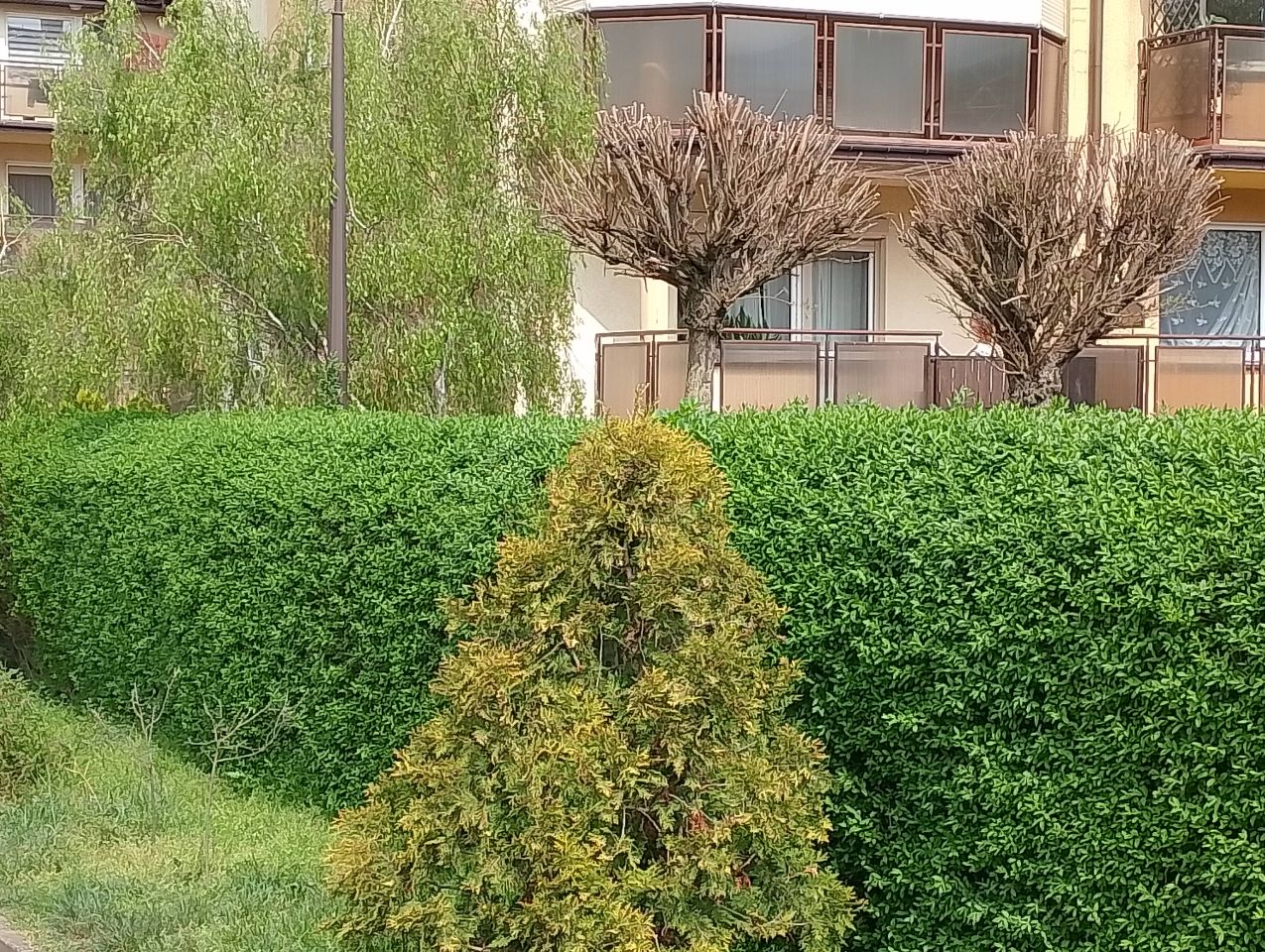 Mieszkanie 3-pokojowe Ciechocinek, ul. Ogrodowa. Zdjęcie 12