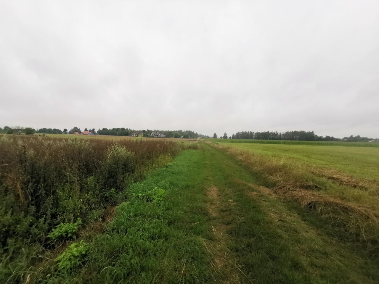 Działka budowlana Suszno, ul. Bazyliowa. Zdjęcie 5