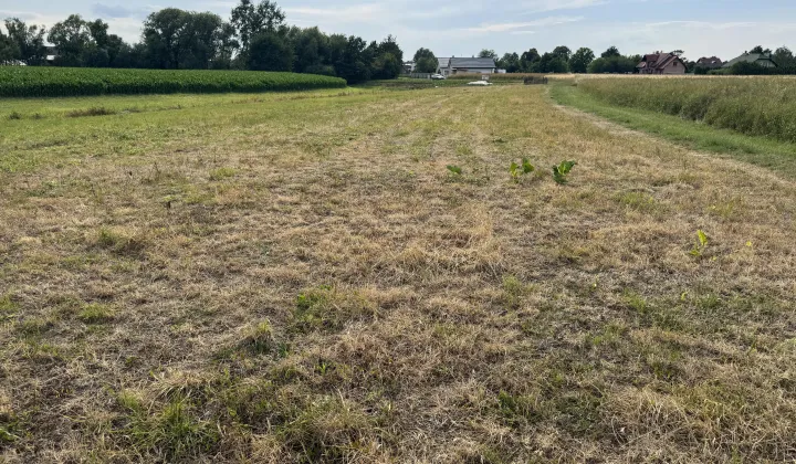 Działka rolno-budowlana Dębina