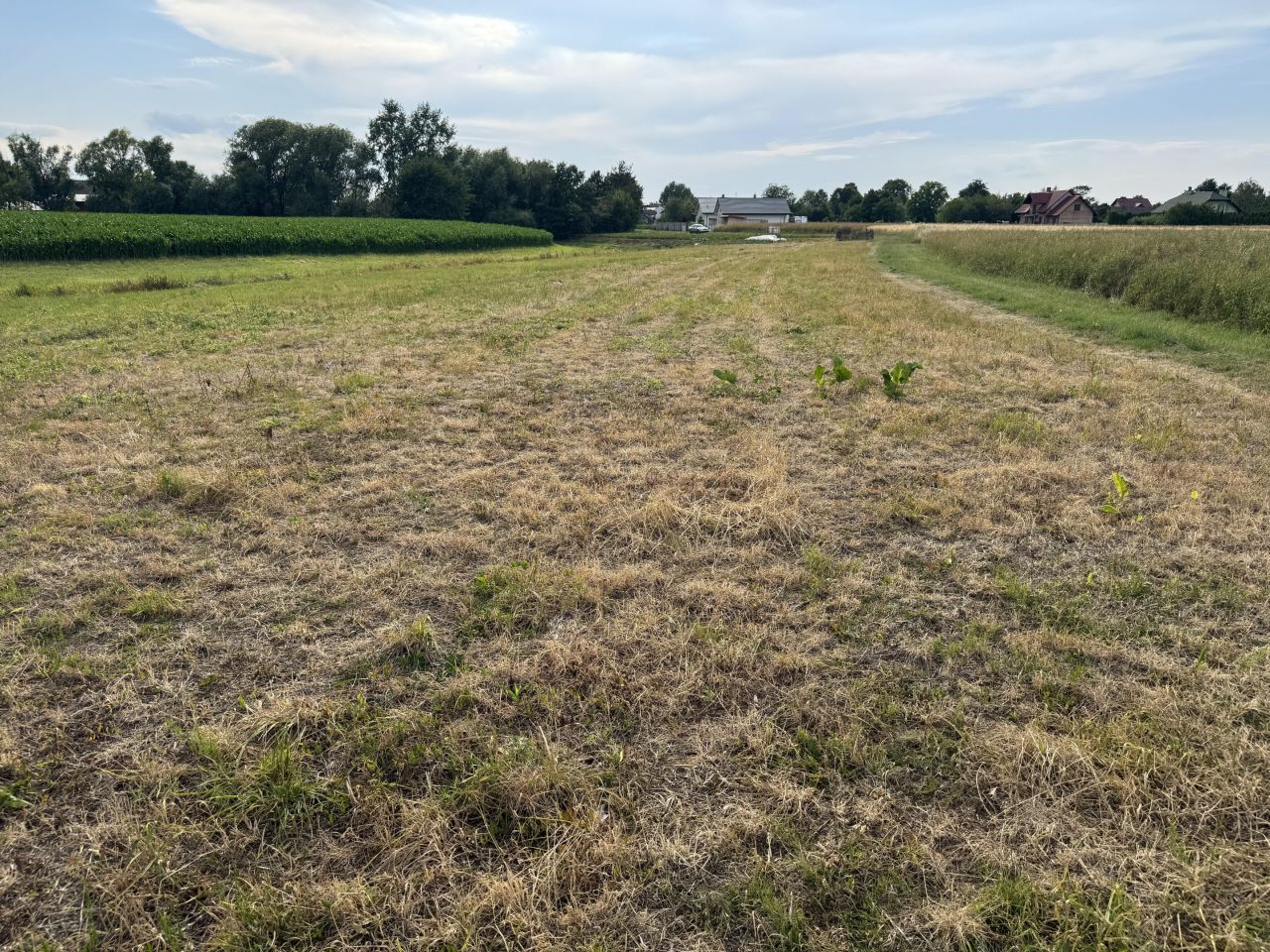 Działka rolno-budowlana Dębina