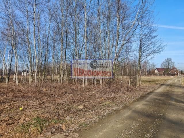 Działka budowlana Grabina. Zdjęcie 2