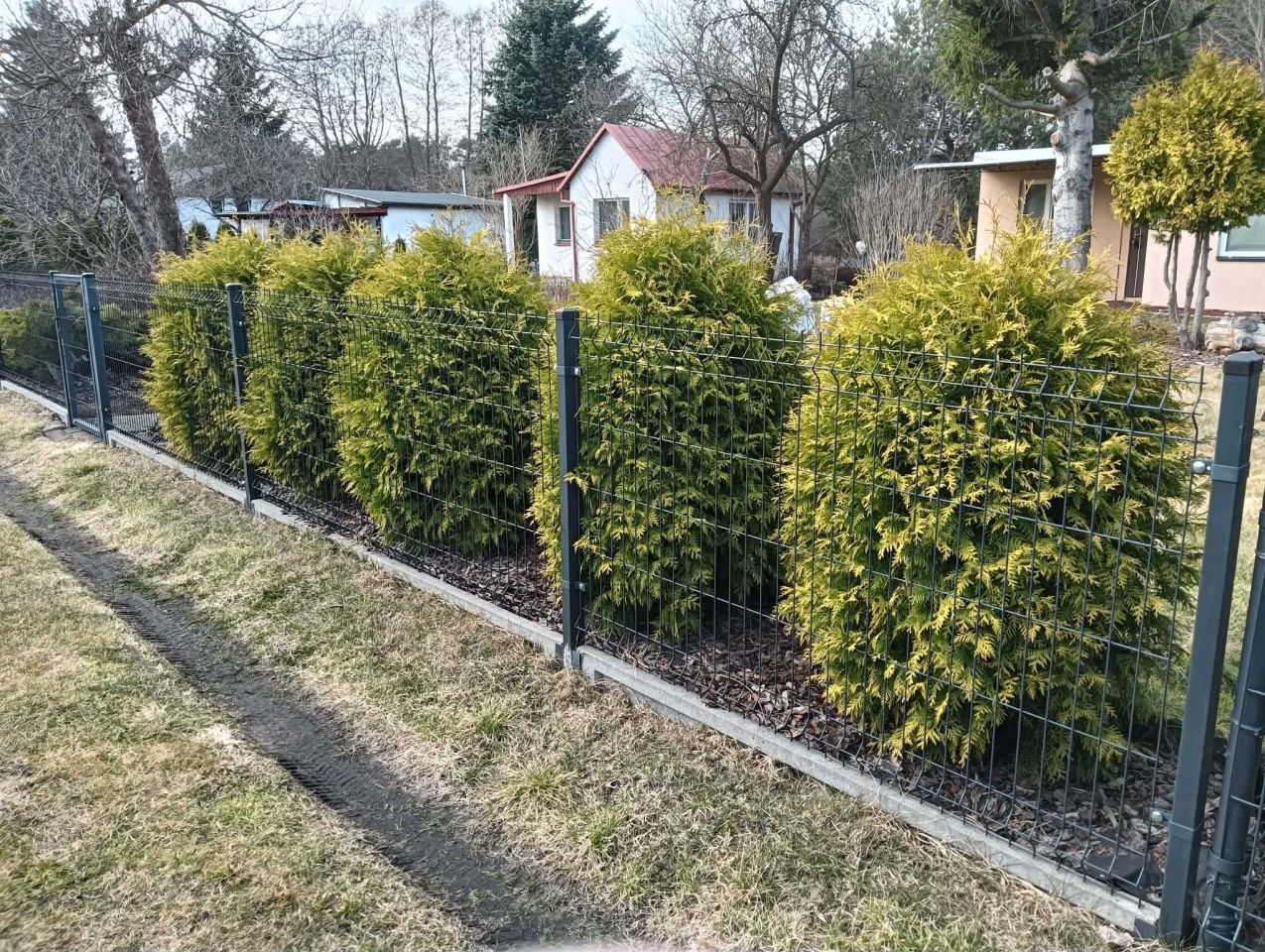 Działka rod Drzewce. Zdjęcie 8