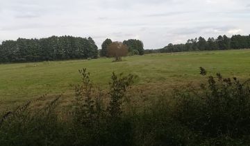 Działka rekreacyjna Cekcyn