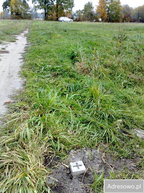 Działka siedliskowa Gutowo. Zdjęcie 6