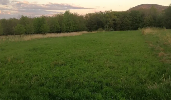 Działka rolno-budowlana Bujaków Bujaków Górny, ul. Modrzewiowa