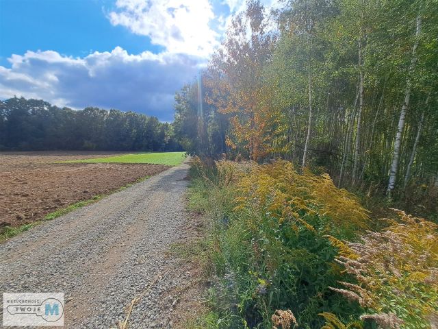 Działka siedliskowa Sędek. Zdjęcie 2