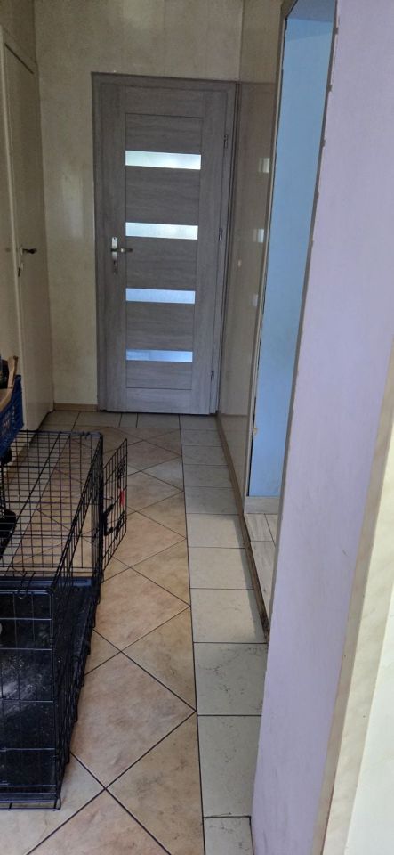 dom wolnostojący, 3 pokoje Kołata. Zdjęcie 12