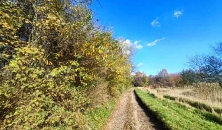 Działka budowlana Trojanowice, ul. Wąwozowa