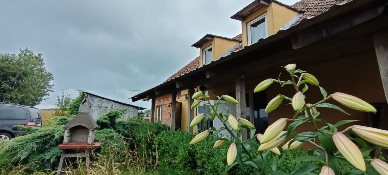 siedlisko Elgnowo. Zdjęcie 4