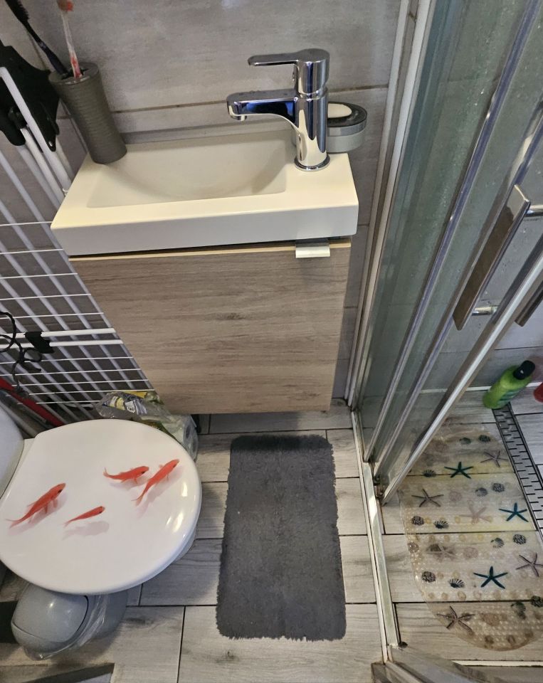 Mieszkanie 2-pokojowe Zgierz, ul. ks. Szczepana Rembowskiego. Zdjęcie 5