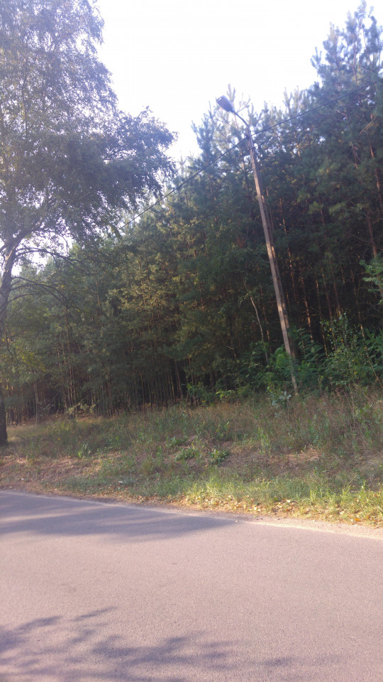 Działka budowlana Lipiny, ul. Bankowa. Zdjęcie 6