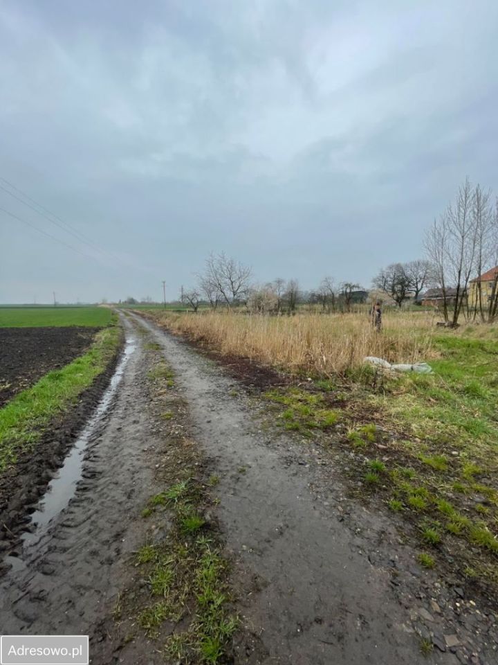 Działka budowlana Przecławice, ul. Strzelińska. Zdjęcie 3