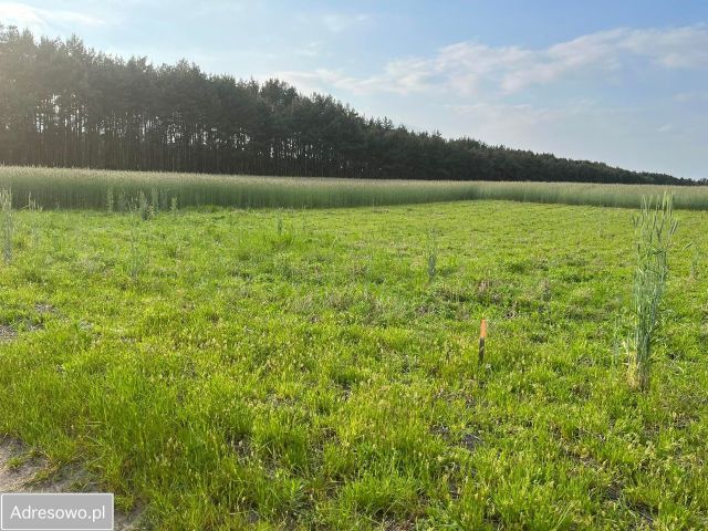 Działka budowlana Wyszanów. Zdjęcie 1