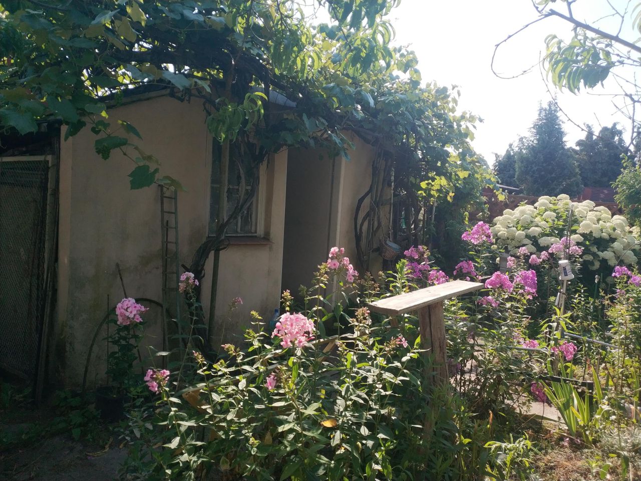 Działka rod Poznań Ławica, ul. Bukowska. Zdjęcie 2