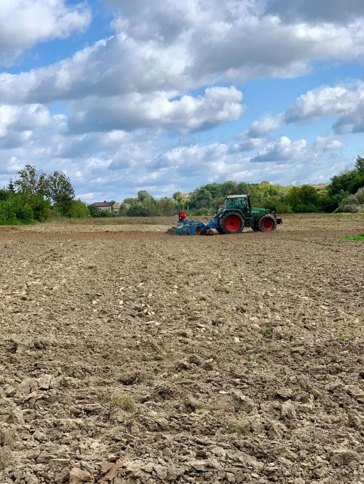 Działka rolna Góry Wysokie. Zdjęcie 4