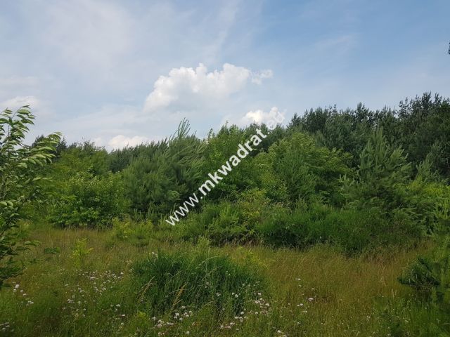 Działka rolna Grzegorzewice, ul. Tarczyńska. Zdjęcie 2