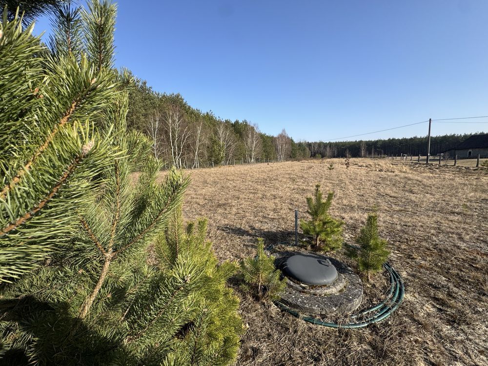 Działka rolna Wysoka. Zdjęcie 4