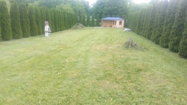 Działka budowlana Rybieniec. Zdjęcie 1