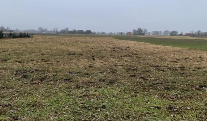 Działka rolno-budowlana Malta