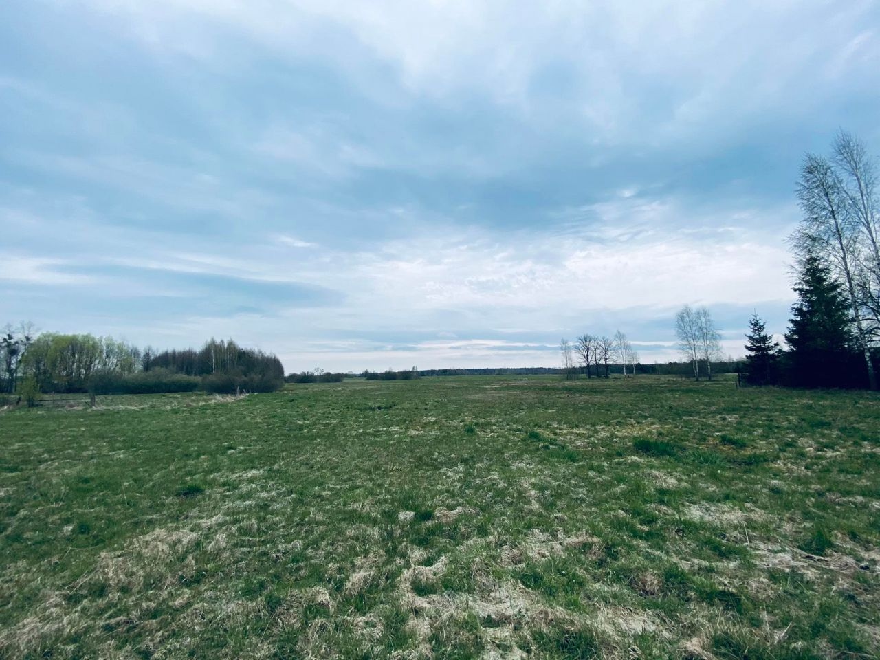 Działka siedliskowa Orzeszkowo Olszyna. Zdjęcie 14