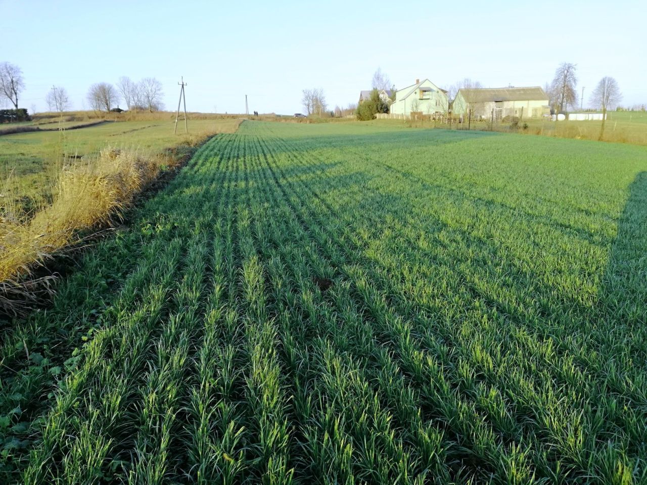 Działka budowlana Żegary. Zdjęcie 5