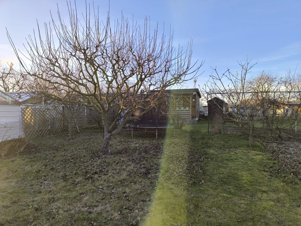 Działka rod Pełczyce, ul. Łąkowa. Zdjęcie 5