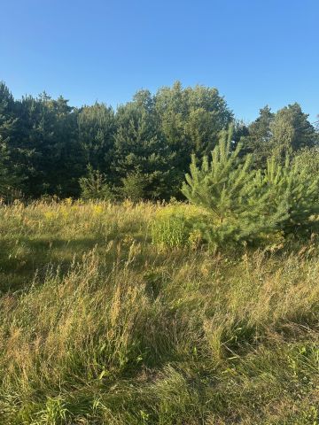 Działka budowlana Bądzyń, ul. ks. Brzóski. Zdjęcie 1