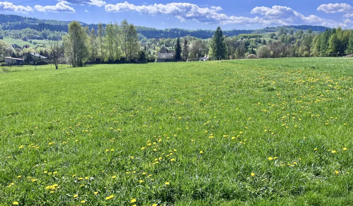 Działka budowlana Gilowice Stary Dwór, ul. Starodworska