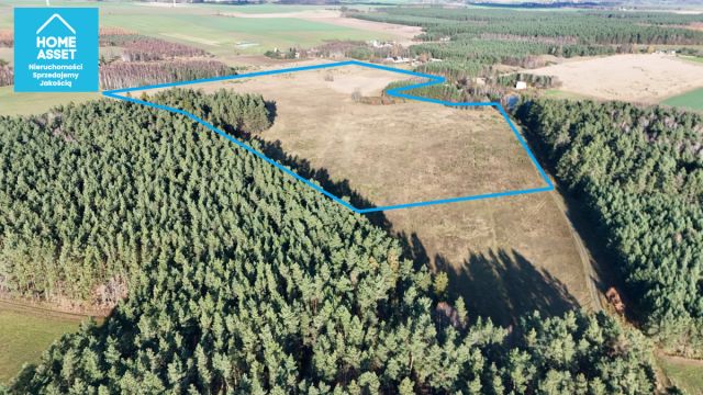 Działka rolna Dąbrówno. Zdjęcie 19