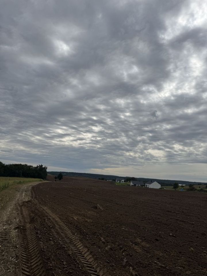 Działka budowlana Dolsk, os. Jaskółki. Zdjęcie 7