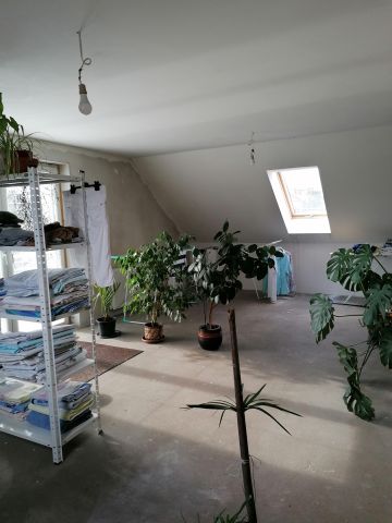 dom wolnostojący, 6 pokoi Aleksandrów Łódzki Franin, Kombatantów. Zdjęcie 24