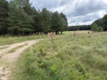 Działka rolna Podnowinka Upustek. Zdjęcie 2