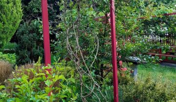 Działka rod Zielona Góra Centrum