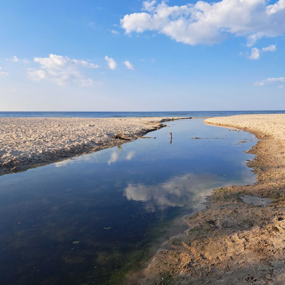 Działka budowlana Łasin Koszaliński. Zdjęcie 6