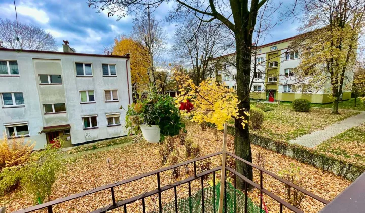 Mieszkanie 3-pokojowe Katowice Koszutka, ul. Brzozowa