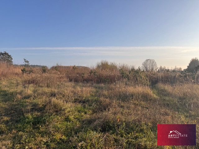 Działka siedliskowa Florentynów. Zdjęcie 3