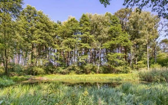 Działka budowlana Wołomin. Zdjęcie 1