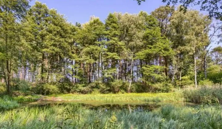 Działka budowlana Wołomin, Ulica