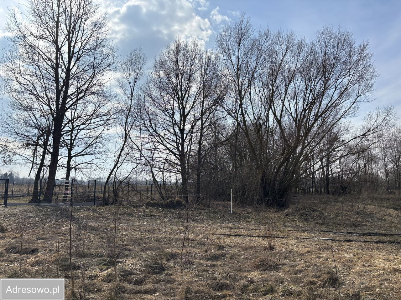 Działka budowlana Płaciszewo. Zdjęcie 2