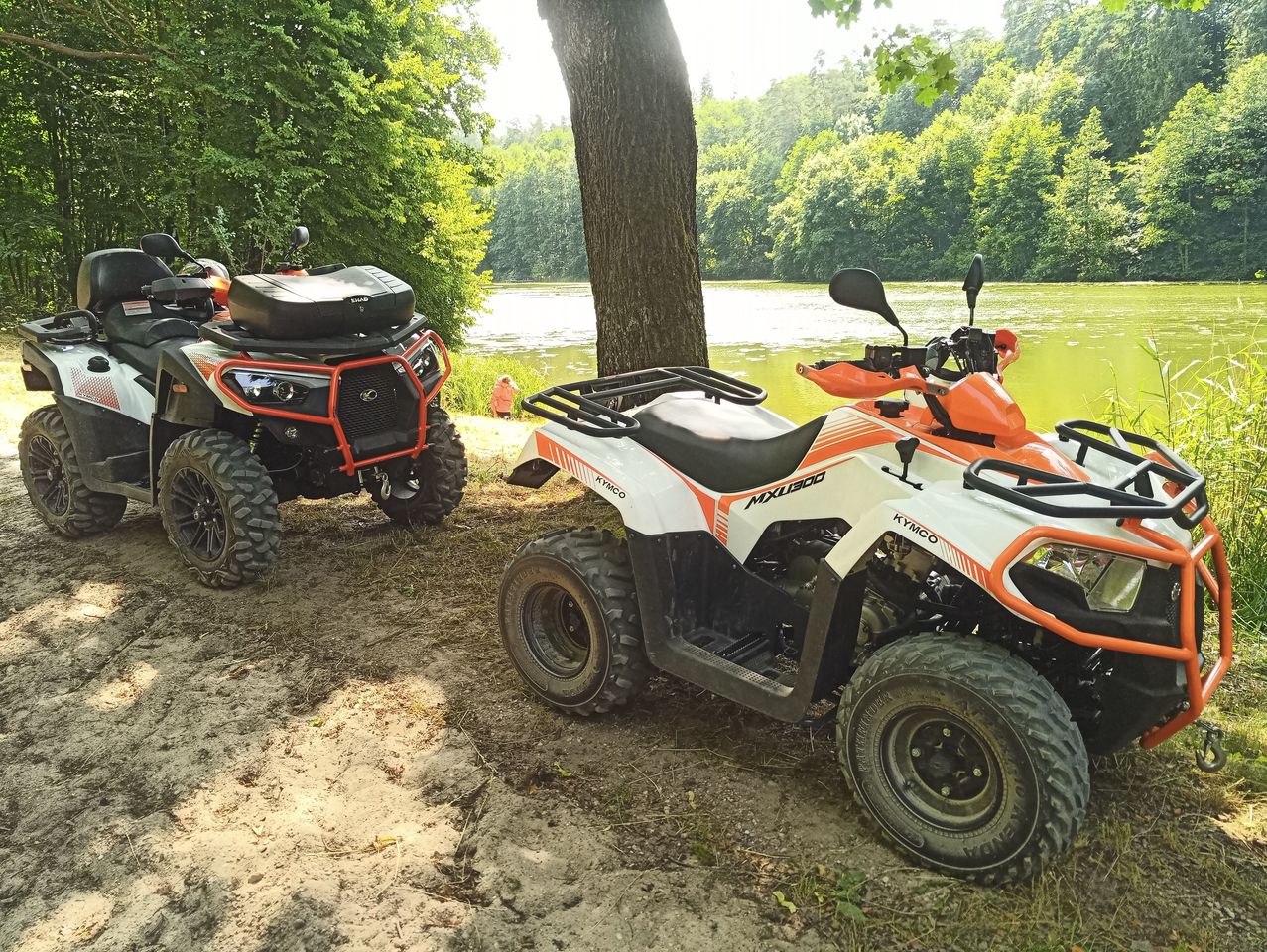 Działka leśna Konopaty. Zdjęcie 9