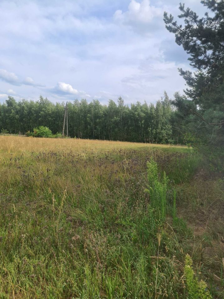 Działka budowlana Rachcin. Zdjęcie 7