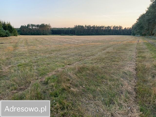 Działka rolna Rzystnowo. Zdjęcie 19